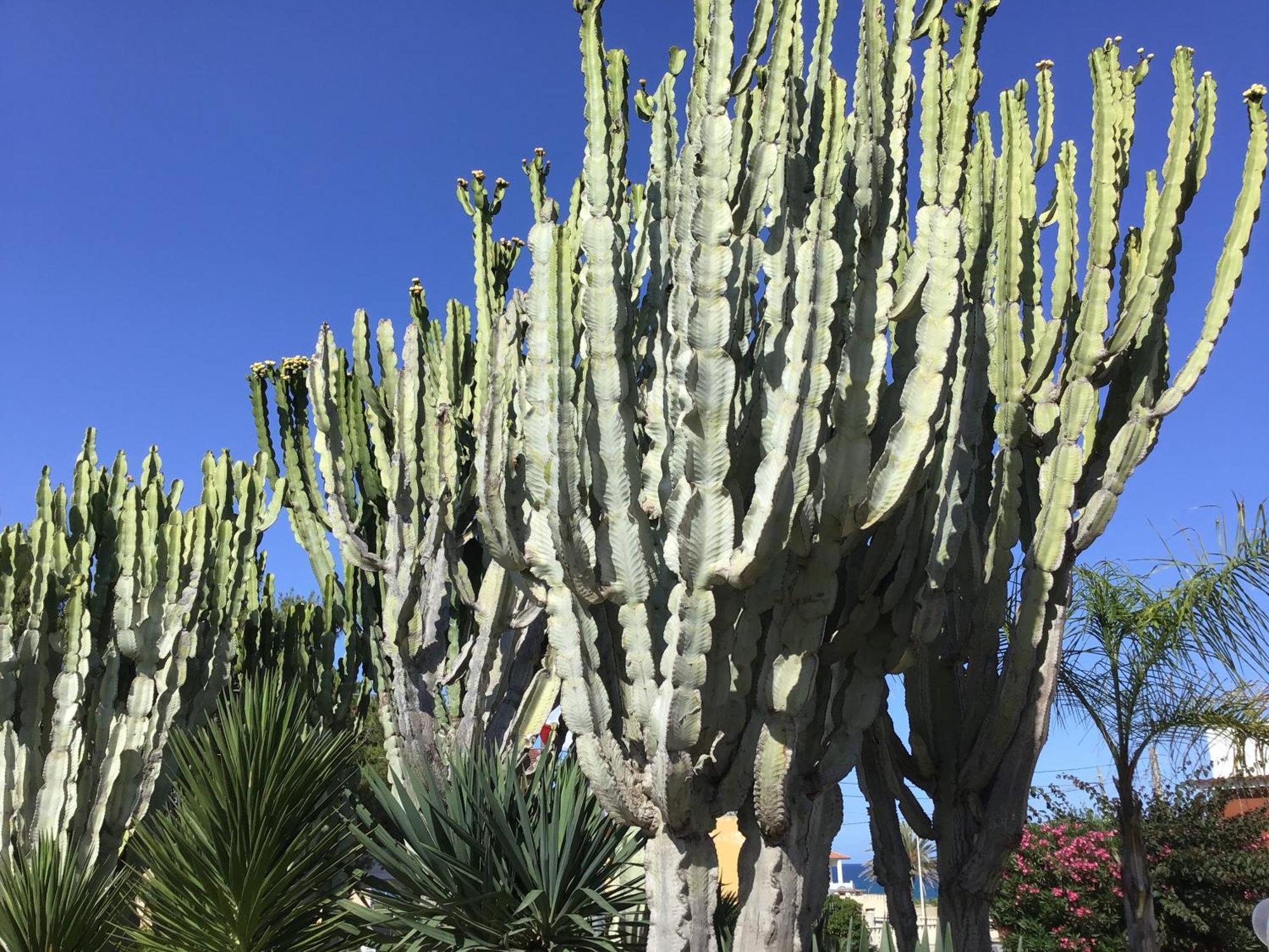 B&B Levante Lido di Noto エクステリア 写真